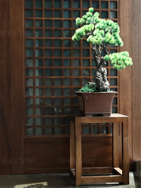 卓木王红木